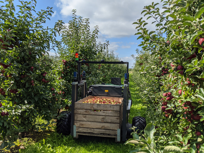 SIKO sostiene il progetto di raccolta autonoma dei frutteti: introduzione di robot per la raccolta delle mele 